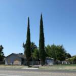 2550 W. Shields Ave.
Fresno, CA 
$199,000

Property zoned at R-3. Value is mainly in this corner lot, but home was remodeled within the last couple of years. Possible 8-plex could be built with removal of existing home.